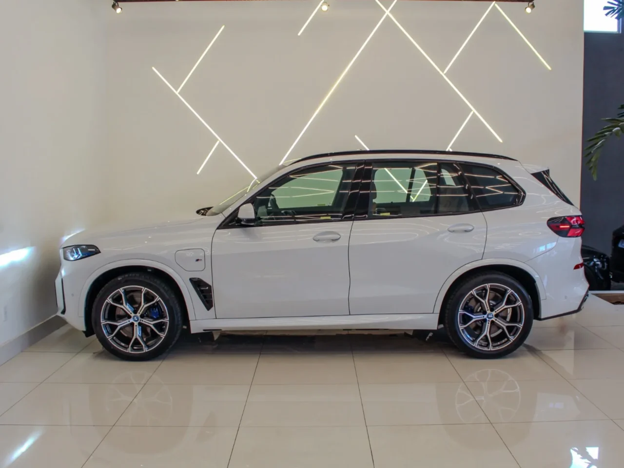 BMW X5 2024