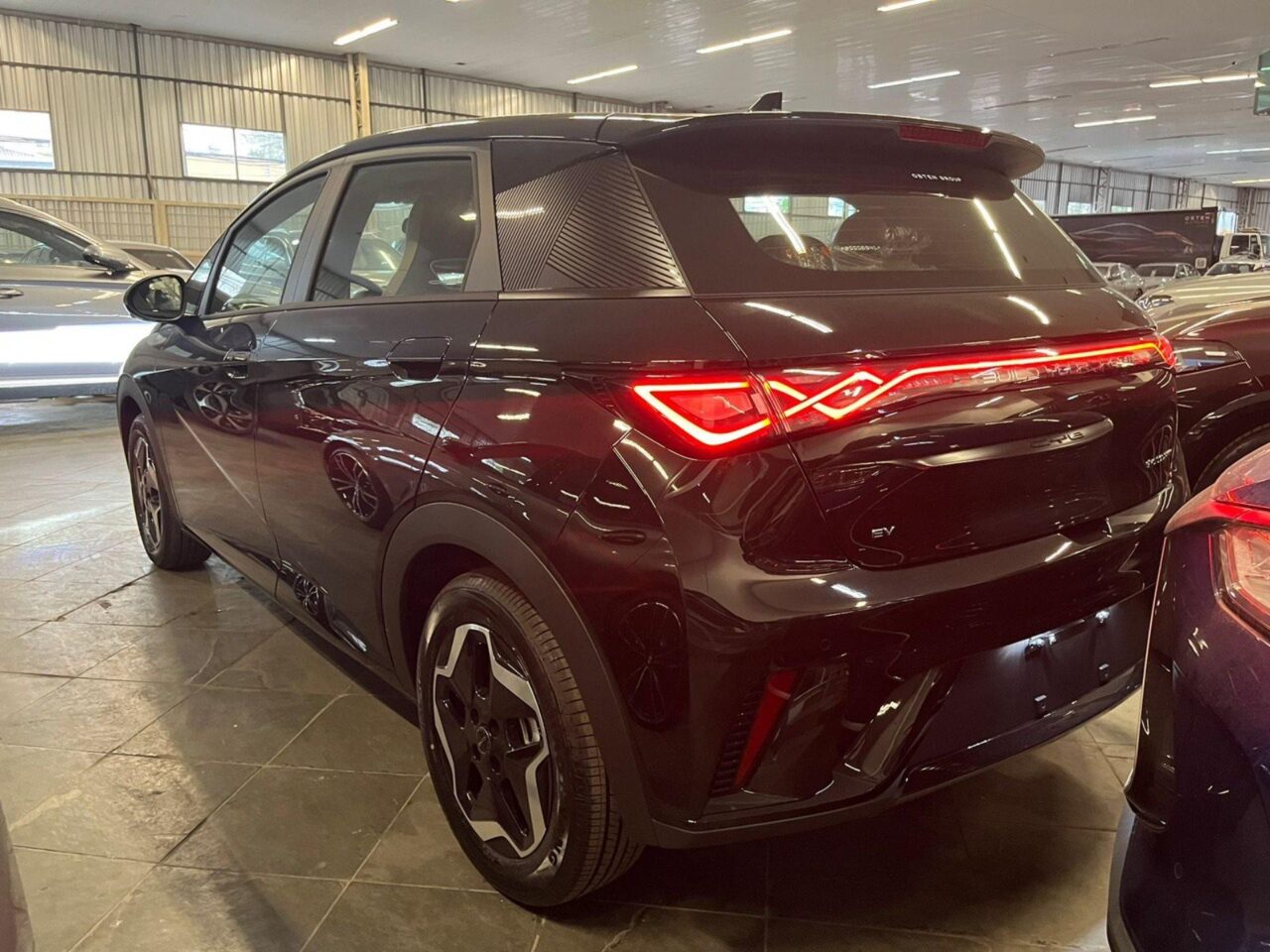 BYD Dolphin 2024