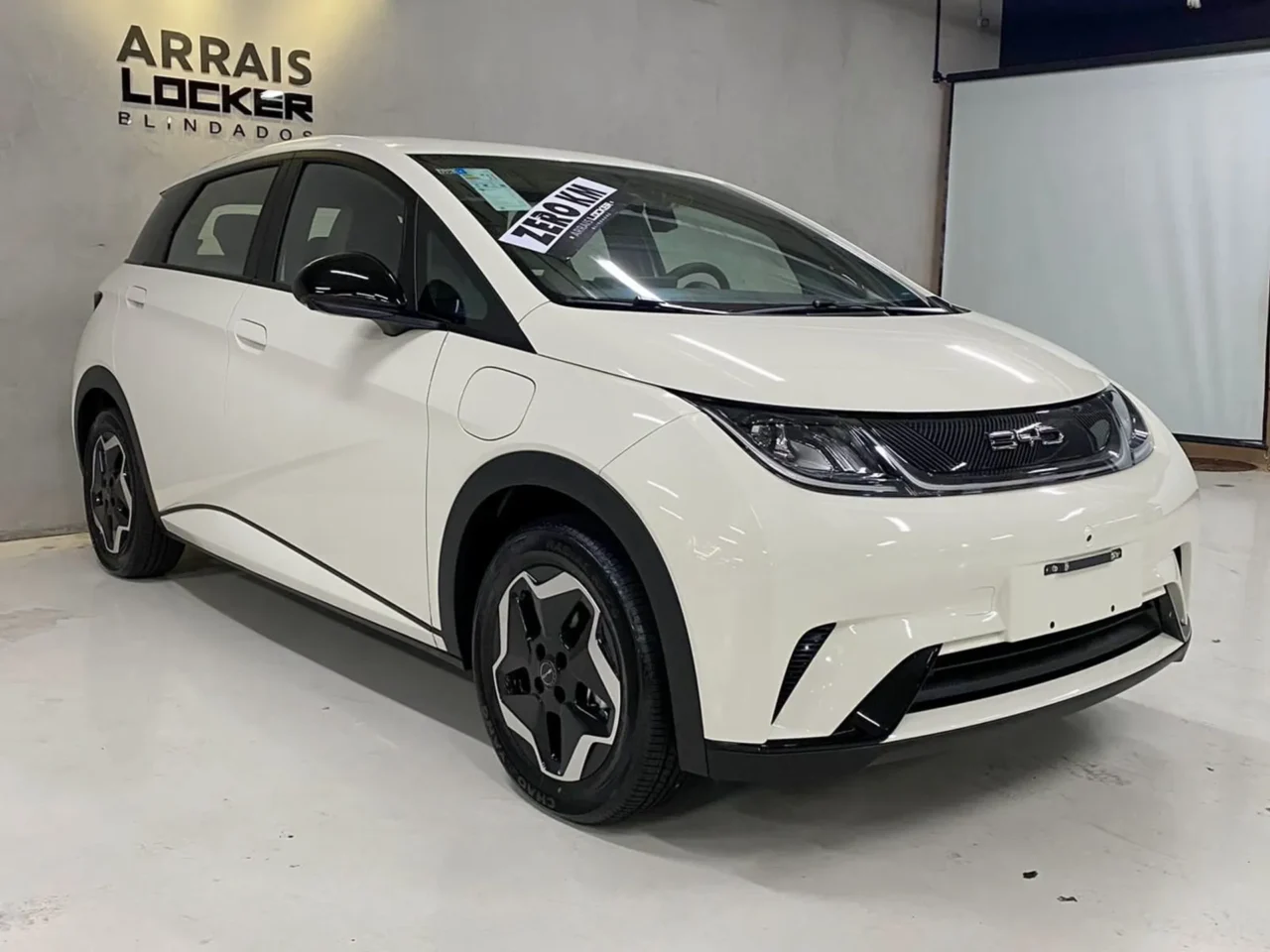 BYD Dolphin 2024