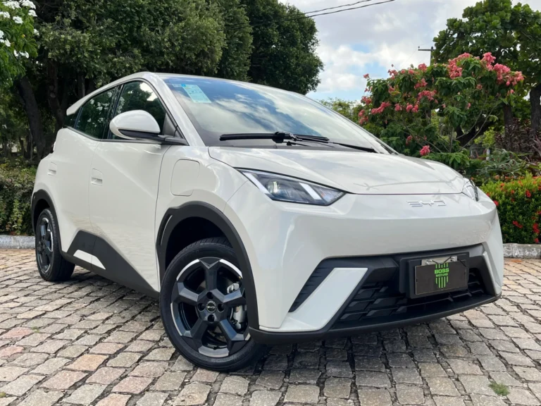 BYD Dolphin Mini 2025: cinco motivos que explicam o sucesso