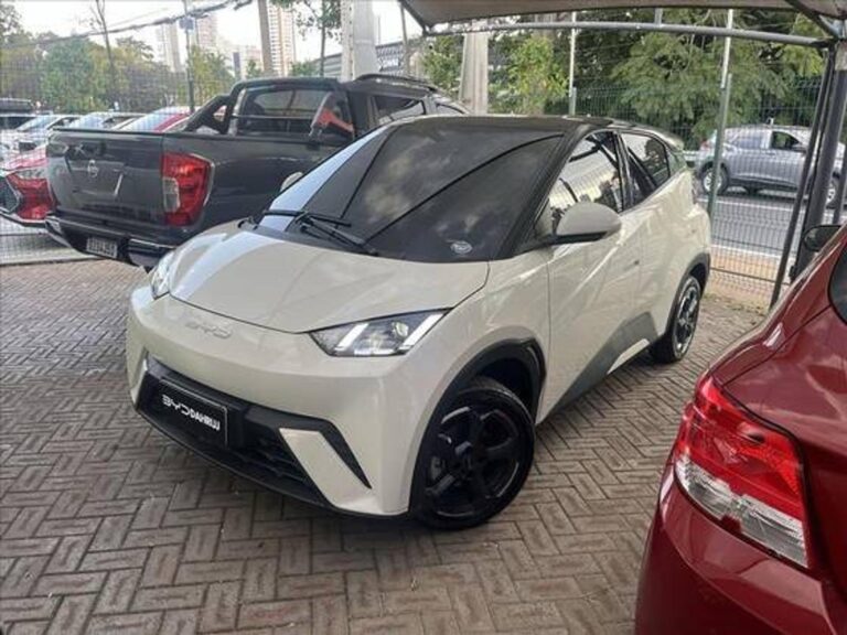 BYD Dolphin Mini de 5 lugares custará R$ 4 mil a mais que o irmão menor