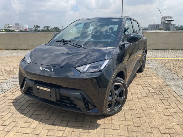 BYD Dolphin Mini volta a crescer nas vendas em julho de 2024; confira os detalhes
