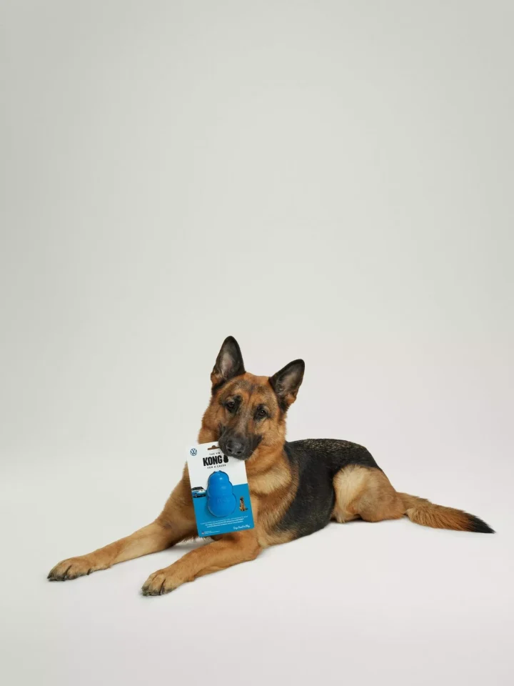 Volkswagen e KONG lançam brinquedo canino em edição limitada inspirado na ID. Buzz