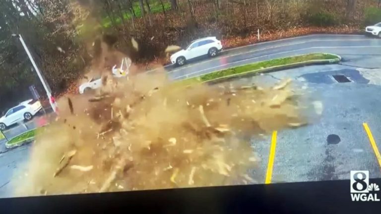 Queda de árvore esmaga Ford Escape na Pensilvânia; motorista escapa ilesa
