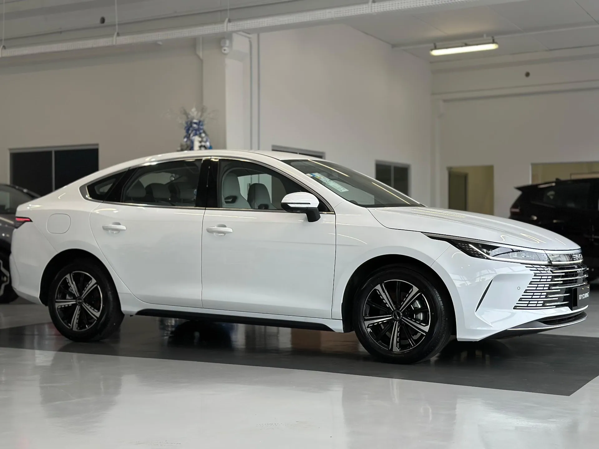 Quanto custa manter o BYD King 2025? Veja seguro e revisões em julho