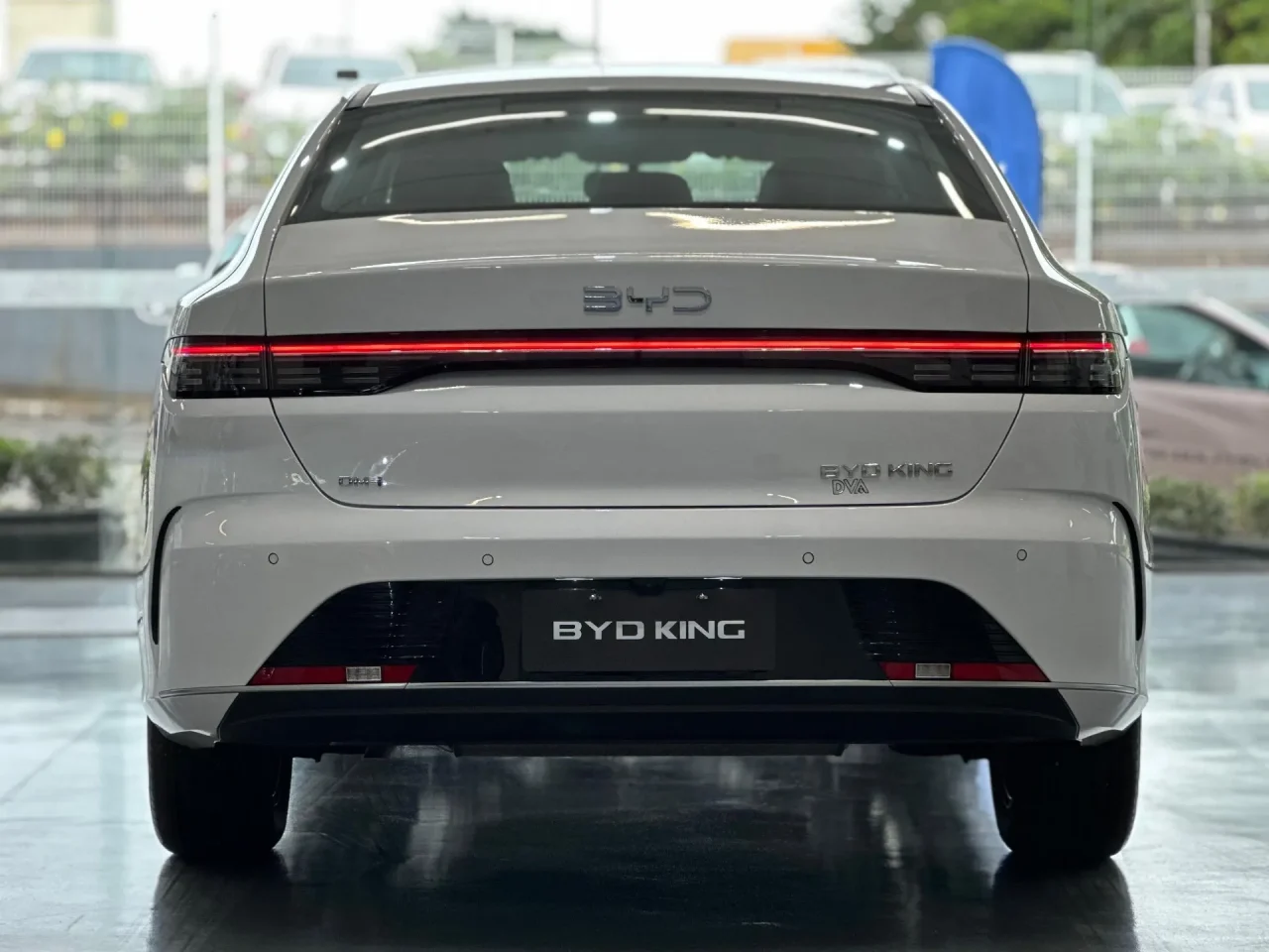 Quanto custa manter o BYD King 2025? Veja seguro e revisões em julho