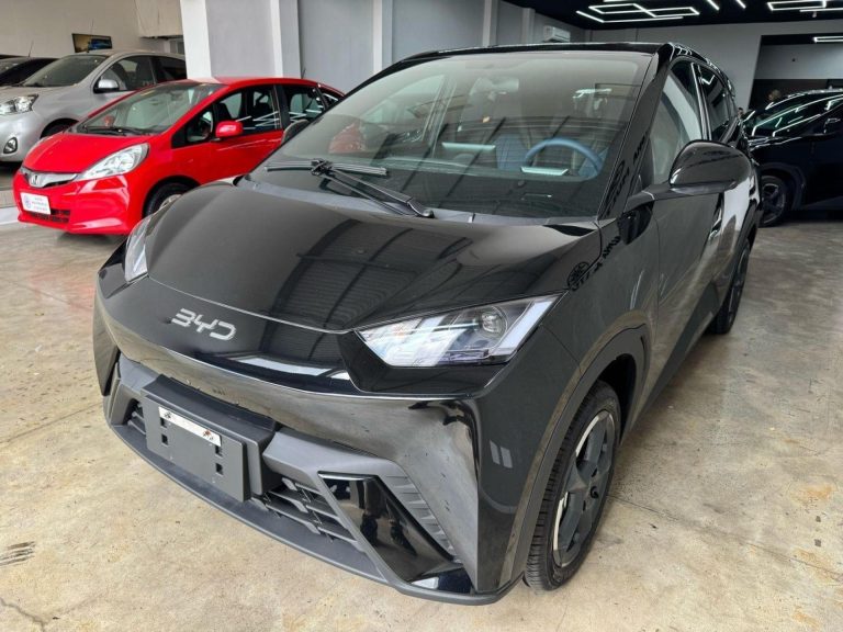 BYD Dolphin Mini ganha desconto de R$ 17 mil para PcD em setembro