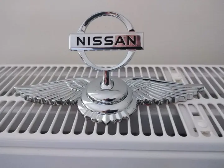 Nissan faz recall de 19 mil elétricos nos EUA por risco de incêndio