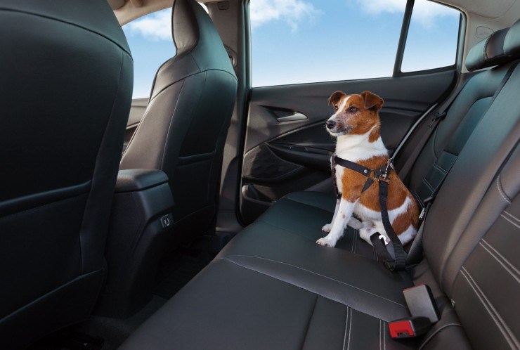 Chevrolet lança recurso inédito de emergência OnStar para pets