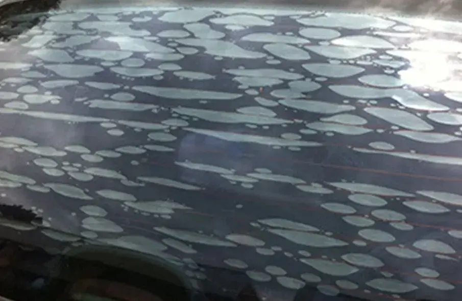 Películas automotivas: saiba o que pode e o que não pode