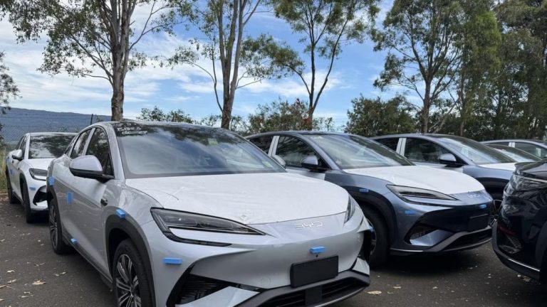BYD é acusada de estocar carros ilegalmente na Austrália