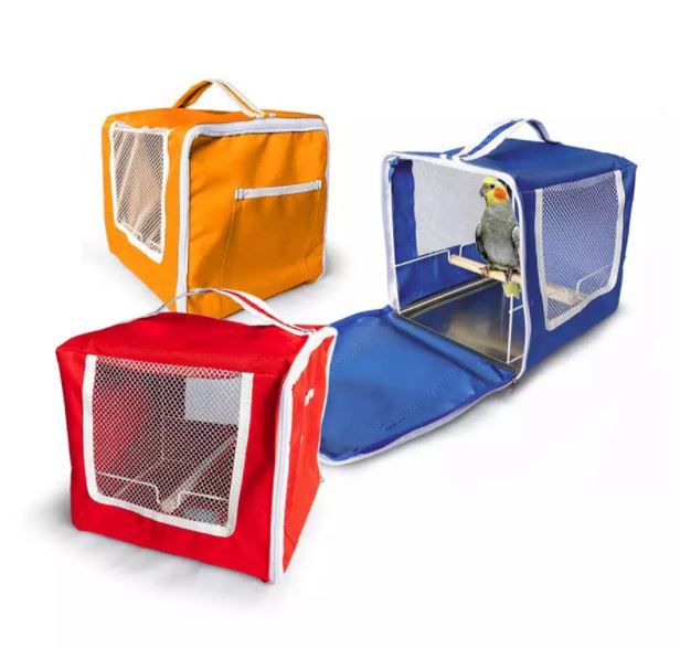 Viajar com pets: o que diz a lei e como garantir a segurança no carro