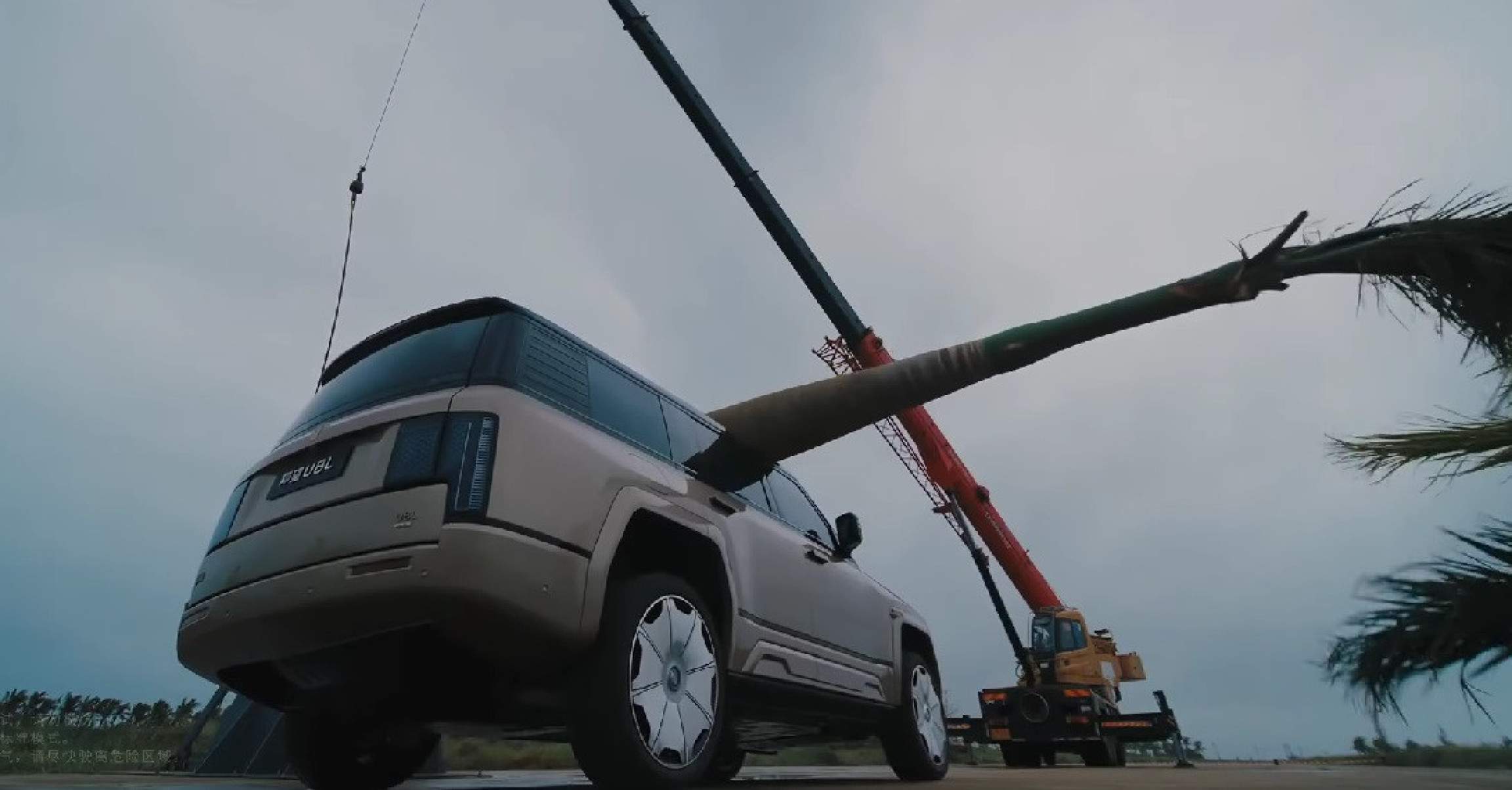 Yangwang U8 enfrenta teste extremo: BYD derruba árvore para provar resistência