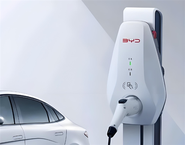 BYD aposta em compartilhamento de recarga entre donos de elétricos