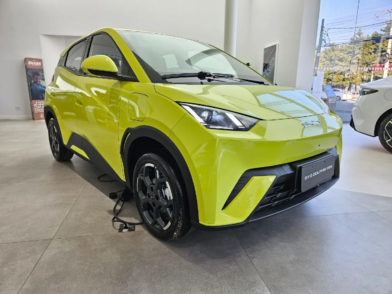 BYD Dolphin Mini registra alta de 35% em dezembro e alcança recorde de vendas