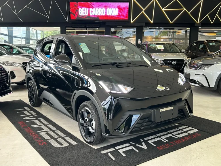 BYD Dolphin Mini dispara 26,2% em março, entra no top 10 e mira novo recorde