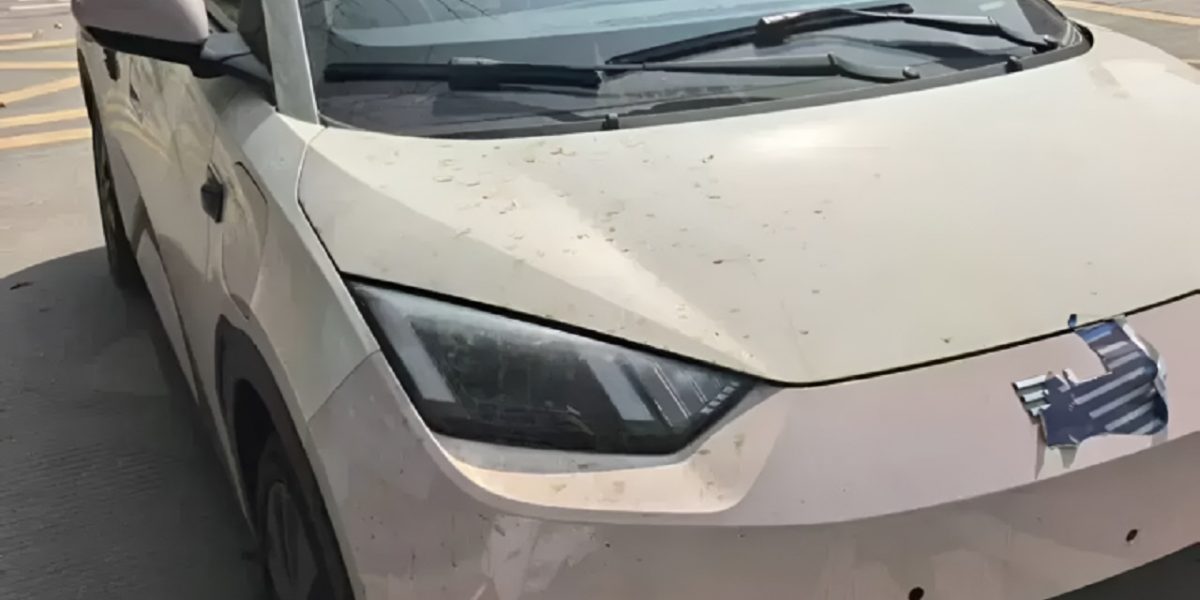BYD Dolphin Mini ganha LiDAR no teto e promete 505 km de autonomia na China