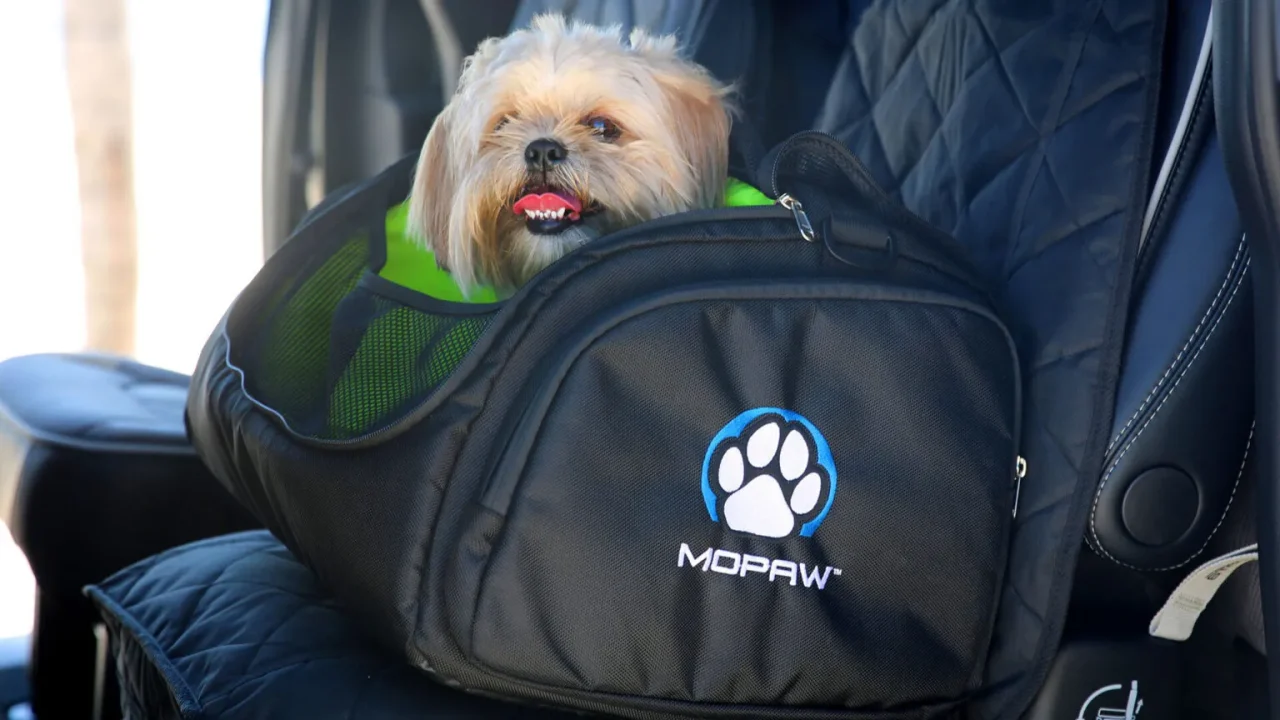 Stellantis entra no setor pet com nova linha de acessórios Mopaw